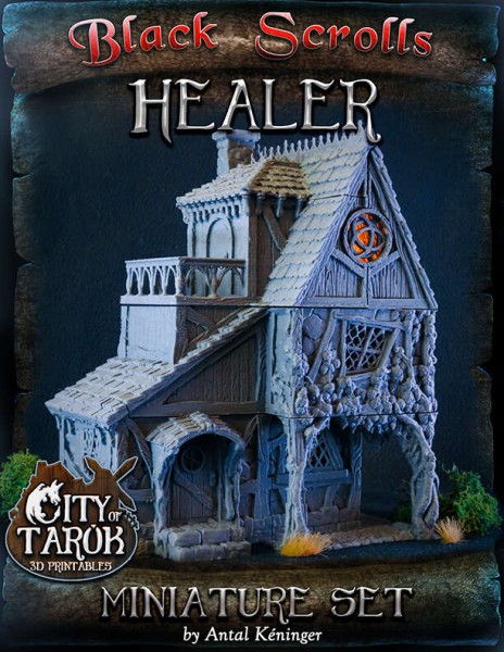 City of Tarok: Healer